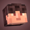 NotliStar