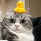 phonby