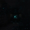 Warden312