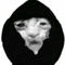 Goose_Max