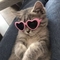 DeizyIK