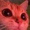 MeowMix