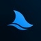 Shark_Studio