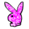 kokos891