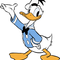DonaldDuck_Studio