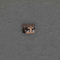 Mrgrib13
