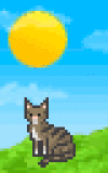 Кот