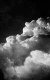White Sky