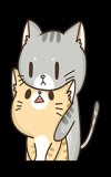 Catssss
