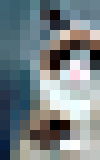 catsit