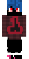 Скин по нику 1325