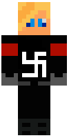 Скин по нику 173