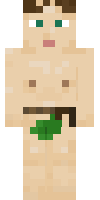 Скин по нику 1Alex_