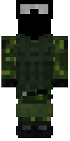 Скин по нику 1REX01