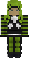 Скин по нику 22millionbadgers