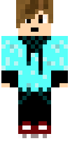 Скин по нику 2minecrafters