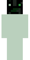 Скин по нику 325