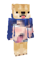 Скин по нику 16x4