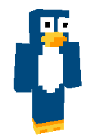 Скин по нику 1hu
