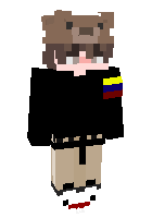 Скин по нику 2581