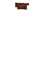 Скин по нику 285