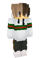 Скин по нику 2Rg