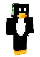 Скин по нику 3DW1N