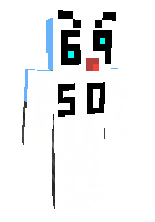 Скин по нику 69so