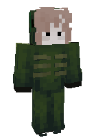 Скин по нику ALCHNOCTb