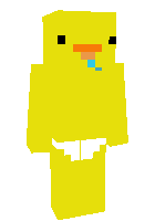 Скин по нику A_Random_Duck