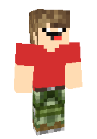 Скин по нику AlanWinchester