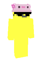 Скин по нику Amiko_