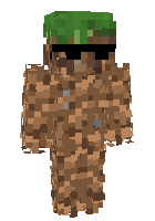 Скин по нику AnanasGamer