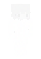 Скин по нику Angelremains