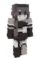 Скин по нику AniArr