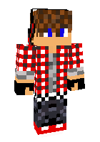 Скин по нику AniM3wn1k