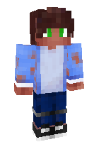 Скин по нику Animat_YT
