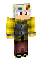 Скин по нику Animer