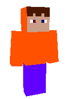 Скин по нику ApianBeast5074