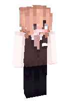 Скин по нику AriTo_MeeW