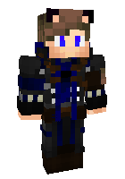 Скин по нику Armor_cat
