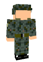 Скин по нику Army13