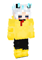 Скин по нику ArrynKing