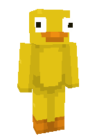 Скин по нику Astrollyn