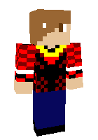 Скин по нику AydenSwagger