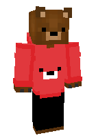 Скин по нику BEAR719