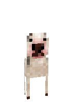 Скин по нику BULLLL