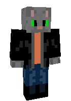 Скин по нику Believer_Cat