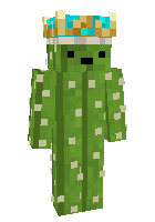 Скин по нику Benyyyy
