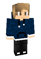 Скин по нику BestGamer__